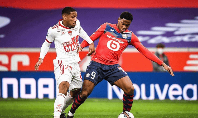 培养本土球 培养本土球