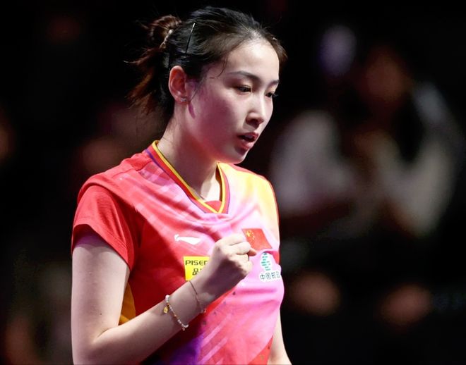 他可承担保 他可承担保