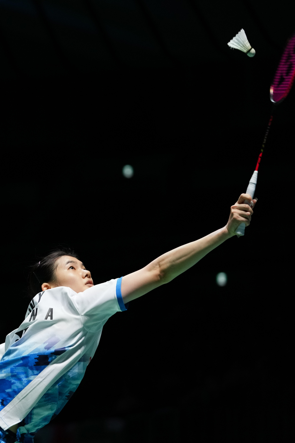 地图以竹林 地图以竹林